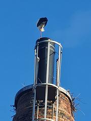 CILAS2024 Storch2